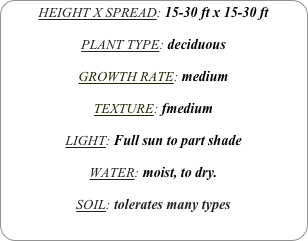 HEIGHT X SPREAD: 15-30 ft x 15-30 ft

PLANT TYPE: deciduous

GROWTH RATE: medium

TEXTURE: fmedium

LIGHT: Full sun to part shade

WATER: moist, to dry.

SOIL: tolerates many types
