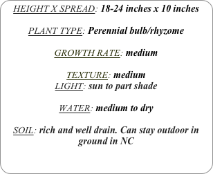 HEIGHT X SPREAD: 18-24 inches x 10 inches

PLANT TYPE: Perennial bulb/rhyzome

GROWTH RATE: medium

TEXTURE: medium
LIGHT: sun to part shade

WATER: medium to dry

SOIL: rich and well drain. Can stay outdoor in ground in NC
