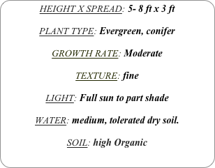 HEIGHT X SPREAD: 5- 8 ft x 3 ft

PLANT TYPE: Evergreen, conifer

GROWTH RATE: Moderate

TEXTURE: fine

LIGHT: Full sun to part shade

WATER: medium, tolerated dry soil.

SOIL: high Organic
