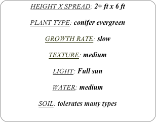 HEIGHT X SPREAD: 2+ ft x 6 ft

PLANT TYPE: conifer evergreen

GROWTH RATE: slow

TEXTURE: medium

LIGHT: Full sun

WATER: medium

SOIL: tolerates many types
