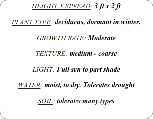 HEIGHT X SPREAD: 3 ft x 2 ft

PLANT TYPE: deciduous, dormant in winter.

GROWTH RATE: Moderate

TEXTURE: medium - coarse

LIGHT: Full sun to part shade

WATER: moist, to dry. Tolerates drought

SOIL: tolerates many types
