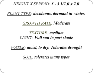 HEIGHT X SPREAD: 3 - 3 1/2 ft x 2 ft

PLANT TYPE: deciduous, dormant in winter.

GROWTH RATE: Moderate

TEXTURE: medium 
LIGHT: Full sun to part shade

WATER: moist, to dry. Tolerates drought

SOIL: tolerates many types
