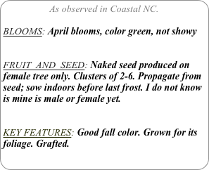 As observed in Coastal NC.

BLOOMS: April blooms, color green, not showy


FRUIT  AND  SEED: Naked seed produced on female tree only. Clusters of 2-6. Propagate from seed; sow indoors before last frost. I do not know is mine is male or female yet.

KEY FEATURES: Good fall color. Grown for its foliage. Grafted.