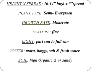 HEIGHT X SPREAD: 10-14” high x 5”spread

PLANT TYPE: Semi- Evergreen

GROWTH RATE: Moderate

TEXTURE: fine

LIGHT: part sun to full sun

WATER: moist, boggy, salt & fresh water.

SOIL: high Organic & or sandy
