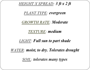 HEIGHT X SPREAD: 3 ft x 2 ft

PLANT TYPE: evergreen

GROWTH RATE: Moderate

TEXTURE: medium 

LIGHT: Full sun to part shade

WATER: moist, to dry. Tolerates drought

SOIL: tolerates many types
