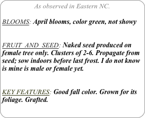 As observed in Eastern NC.

BLOOMS: April blooms, color green, not showy


FRUIT  AND  SEED: Naked seed produced on female tree only. Clusters of 2-6. Propagate from seed; sow indoors before last frost. I do not know is mine is male or female yet.

KEY FEATURES: Good fall color. Grown for its foliage. Grafted.