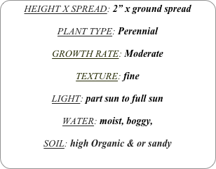 HEIGHT X SPREAD: 2” x ground spread

PLANT TYPE: Perennial

GROWTH RATE: Moderate

TEXTURE: fine

LIGHT: part sun to full sun

WATER: moist, boggy, 

SOIL: high Organic & or sandy
