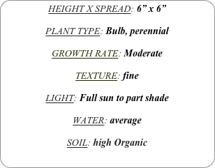 HEIGHT X SPREAD: 6” x 6”

PLANT TYPE: Bulb, perennial

GROWTH RATE: Moderate

TEXTURE: fine

LIGHT: Full sun to part shade

WATER: average

SOIL: high Organic
