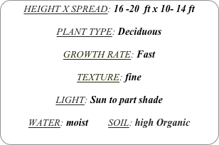 HEIGHT X SPREAD: 16 -20  ft x 10- 14 ft

PLANT TYPE: Deciduous

GROWTH RATE: Fast

TEXTURE: fine

LIGHT: Sun to part shade

WATER: moist        SOIL: high Organic
