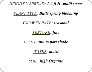 HEIGHT X SPREAD: 1-2 ft H -multi stems

PLANT TYPE: Bulb/ spring blooming

GROWTH RATE: seasonal

TEXTURE: fine

LIGHT: sun to part shade

WATER: moist

SOIL: high Organic
