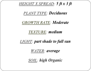HEIGHT X SPREAD: 5 ft x 3 ft

PLANT TYPE: Deciduous

GROWTH RATE: Moderate

TEXTURE: medium

LIGHT: part shade to full sun

WATER: average

SOIL: high Organic
