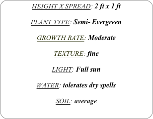 HEIGHT X SPREAD: 2 ft x 1 ft

PLANT TYPE: Semi- Evergreen

GROWTH RATE: Moderate

TEXTURE: fine

LIGHT: Full sun

WATER: tolerates dry spells

SOIL: average
