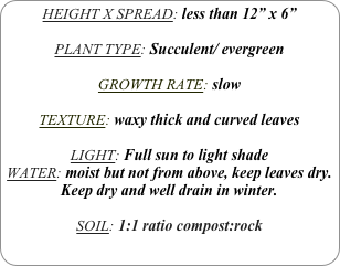 HEIGHT X SPREAD: less than 12” x 6”

PLANT TYPE: Succulent/ evergreen

GROWTH RATE: slow

TEXTURE: waxy thick and curved leaves

LIGHT: Full sun to light shade
WATER: moist but not from above, keep leaves dry.
Keep dry and well drain in winter.

SOIL: 1:1 ratio compost:rock
