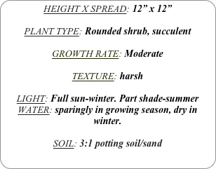 HEIGHT X SPREAD: 12” x 12”

PLANT TYPE: Rounded shrub, succulent

GROWTH RATE: Moderate

TEXTURE: harsh

LIGHT: Full sun-winter. Part shade-summer
WATER: sparingly in growing season, dry in winter.

SOIL: 3:1 potting soil/sand

