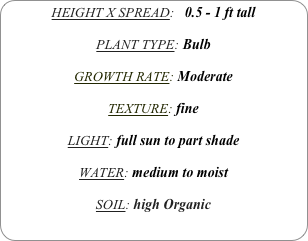 HEIGHT X SPREAD:   0.5 - 1 ft tall

PLANT TYPE: Bulb

GROWTH RATE: Moderate

TEXTURE: fine

LIGHT: full sun to part shade

WATER: medium to moist

SOIL: high Organic
