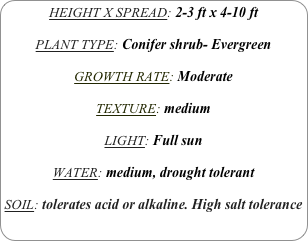HEIGHT X SPREAD: 2-3 ft x 4-10 ft

PLANT TYPE: Conifer shrub- Evergreen

GROWTH RATE: Moderate

TEXTURE: medium

LIGHT: Full sun

WATER: medium, drought tolerant

SOIL: tolerates acid or alkaline. High salt tolerance
