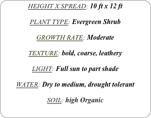HEIGHT X SPREAD: 10 ft x 12 ft

PLANT TYPE: Evergreen Shrub

GROWTH RATE: Moderate

TEXTURE: bold, coarse, leathery

LIGHT: Full sun to part shade

WATER: Dry to medium, drought tolerant

SOIL: high Organic
