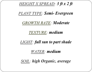 HEIGHT X SPREAD: 3 ft x 2 ft

PLANT TYPE: Semi- Evergreen

GROWTH RATE: Moderate

TEXTURE: medium

LIGHT: full sun to part shade

WATER: medium

SOIL: high Organic, average
