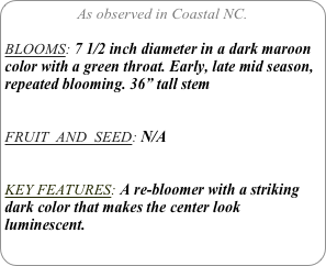 As observed in Coastal NC.

BLOOMS: 7 1/2 inch diameter in a dark maroon color with a green throat. Early, late mid season, repeated blooming. 36” tall stem


FRUIT  AND  SEED: N/A


KEY FEATURES: A re-bloomer with a striking dark color that makes the center look luminescent.