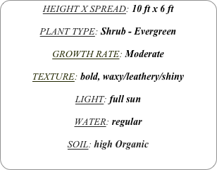 HEIGHT X SPREAD: 10 ft x 6 ft

PLANT TYPE: Shrub - Evergreen

GROWTH RATE: Moderate

TEXTURE: bold, waxy/leathery/shiny

LIGHT: full sun

WATER: regular

SOIL: high Organic
