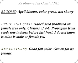 As observed in Coastal NC.

BLOOMS: April blooms, color green, not showy


FRUIT  AND  SEED: Naked seed produced on female tree only. Clusters of 2-6. Propagate from seed; sow indoors before last frost. I do not know is mine is male or female yet.

KEY FEATURES: Good fall color. Grown for its foliage.