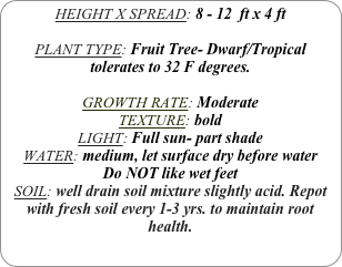 HEIGHT X SPREAD: 8 - 12  ft x 4 ft

PLANT TYPE: Fruit Tree- Dwarf/Tropical
tolerates to 32 F degrees.

GROWTH RATE: Moderate
TEXTURE: bold
LIGHT: Full sun- part shade
WATER: medium, let surface dry before water
Do NOT like wet feet
SOIL: well drain soil mixture slightly acid. Repot with fresh soil every 1-3 yrs. to maintain root health.
