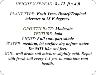 HEIGHT X SPREAD: 8 - 12  ft x 4 ft

PLANT TYPE: Fruit Tree- Dwarf/Tropical
tolerates to 28 F degrees.

GROWTH RATE: Moderate
TEXTURE: bold
LIGHT: Full sun- part shade
WATER: medium, let surface dry before water. 
Do NOT like wet feet.
SOIL: well drain soil mixture slightly acid. Repot with fresh soil every 1-3 yrs. to maintain root health.
