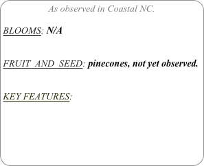 As observed in Coastal NC.

BLOOMS: N/A


FRUIT  AND  SEED: pinecones, not yet observed.


KEY FEATURES: 