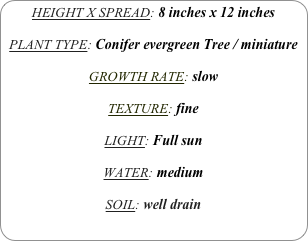 HEIGHT X SPREAD: 8 inches x 12 inches

PLANT TYPE: Conifer evergreen Tree / miniature

GROWTH RATE: slow

TEXTURE: fine

LIGHT: Full sun

WATER: medium

SOIL: well drain
