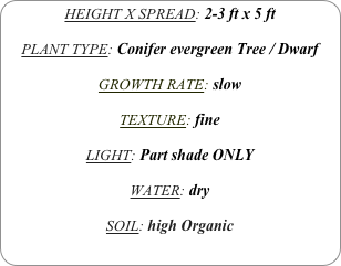 HEIGHT X SPREAD: 2-3 ft x 5 ft

PLANT TYPE: Conifer evergreen Tree / Dwarf

GROWTH RATE: slow

TEXTURE: fine

LIGHT: Part shade ONLY

WATER: dry

SOIL: high Organic
