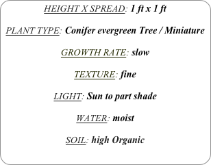 HEIGHT X SPREAD: 1 ft x 1 ft

PLANT TYPE: Conifer evergreen Tree / Miniature

GROWTH RATE: slow

TEXTURE: fine

LIGHT: Sun to part shade

WATER: moist

SOIL: high Organic

