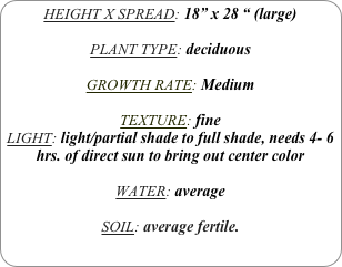 HEIGHT X SPREAD: 18” x 28 “ (large)

PLANT TYPE: deciduous

GROWTH RATE: Medium

TEXTURE: fine
LIGHT: light/partial shade to full shade, needs 4- 6 hrs. of direct sun to bring out center color

WATER: average

SOIL: average fertile.

