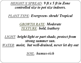 HEIGHT X SPREAD: 9 ft x 5 ft in Zone
controlled size to pot size indoors.

PLANT TYPE: Evergreen- shrub/ Tropical

GROWTH RATE: Moderate
TEXTURE: bold, leathery

LIGHT: bright light or part shade, protect from strong summer sun.
WATER: moist,  but well-drained, never let dry out

SOIL: humus-rich
