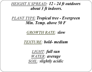 HEIGHT X SPREAD: 12 - 24 ft outdoors
 about 3 ft indoors.

PLANT TYPE:Tropical tree - Evergreen
Min. Temp. above 50 F

GROWTH RATE: slow

TEXTURE: bold- medium

LIGHT: full sun
WATER: average
SOIL: slightly acidic
