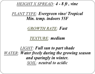 HEIGHT X SPREAD: 4 - 8 ft , vine

PLANT TYPE: Evergreen vine/ Tropical
Min. temp. indoors 55F

GROWTH RATE: Fast

TEXTURE: medium

LIGHT: Full sun to part shade
WATER: Water freely during the growing season and sparingly in winter.
SOIL: neutral to acidic
