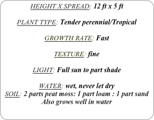 HEIGHT X SPREAD: 12 ft x 5 ft

PLANT TYPE: Tender perennial/Tropical
GROWTH RATE: Fast

TEXTURE: fine

LIGHT: Full sun to part shade

WATER: wet, never let dry
SOIL: 2 parts peat moss: 1 part loam : 1 part sand
Also grows well in water