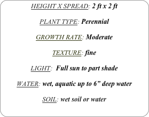 HEIGHT X SPREAD: 2 ft x 2 ft

PLANT TYPE: Perennial

GROWTH RATE: Moderate

TEXTURE: fine

LIGHT:  Full sun to part shade

WATER: wet, aquatic up to 6” deep water

SOIL: wet soil or water
