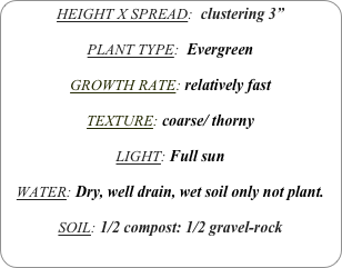 HEIGHT X SPREAD:  clustering 3”

PLANT TYPE:  Evergreen

GROWTH RATE: relatively fast 

TEXTURE: coarse/ thorny

LIGHT: Full sun

WATER: Dry, well drain, wet soil only not plant.

SOIL: 1/2 compost: 1/2 gravel-rock