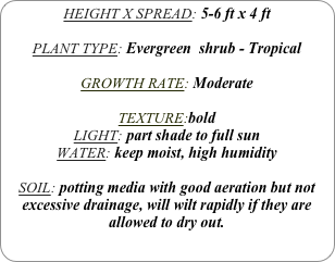 HEIGHT X SPREAD: 5-6 ft x 4 ft

PLANT TYPE: Evergreen  shrub - Tropical

GROWTH RATE: Moderate

TEXTURE:bold
LIGHT: part shade to full sun
WATER: keep moist, high humidity

SOIL: potting media with good aeration but not excessive drainage, will wilt rapidly if they are allowed to dry out.
