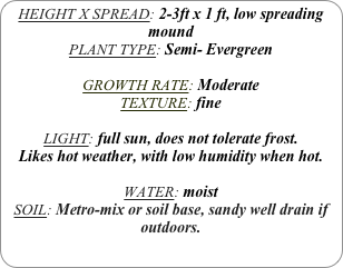 HEIGHT X SPREAD: 2-3ft x 1 ft, low spreading mound
PLANT TYPE: Semi- Evergreen

GROWTH RATE: Moderate
TEXTURE: fine

LIGHT: full sun, does not tolerate frost.
Likes hot weather, with low humidity when hot.

WATER: moist
SOIL: Metro-mix or soil base, sandy well drain if outdoors.
