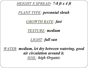 HEIGHT X SPREAD: 7-8 ft x 4 ft

PLANT TYPE: perennial shrub

GROWTH RATE: fast

TEXTURE: medium

LIGHT: full sun

WATER: medium, let dry between watering, good air circulation around it.
SOIL: high Organic
