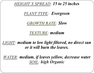 HEIGHT X SPREAD: 15 to 25 inches 

PLANT TYPE:  Evergreen

GROWTH RATE: Slow

TEXTURE: medium

LIGHT: medium to low light filtered, no direct sun or it will burn the leaves.

WATER: medium, if leaves yellow, decrease water
SOIL: high Organic

