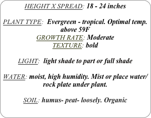 HEIGHT X SPREAD: 18 - 24 inches

PLANT TYPE:  Evergreen - tropical. Optimal temp. above 59F
GROWTH RATE: Moderate
TEXTURE: bold

LIGHT:  light shade to part or full shade

WATER: moist, high humidity. Mist or place water/rock plate under plant.

SOIL: humus- peat- loosely. Organic
