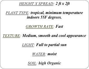HEIGHT X SPREAD: 2 ft x 2ft

PLANT TYPE: tropical, minimum temperature indoors 55F degrees.

GROWTH RATE: Fast

TEXTURE: Medium, smooth and cool appearance

LIGHT: Full to partial sun

WATER: moist

SOIL: high Organic