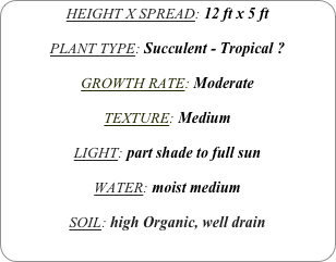 HEIGHT X SPREAD: 12 ft x 5 ft

PLANT TYPE: Succulent - Tropical ?

GROWTH RATE: Moderate

TEXTURE: Medium

LIGHT: part shade to full sun

WATER: moist medium

SOIL: high Organic, well drain
