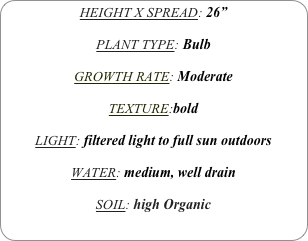 HEIGHT X SPREAD: 26”

PLANT TYPE: Bulb

GROWTH RATE: Moderate

TEXTURE:bold

LIGHT: filtered light to full sun outdoors

WATER: medium, well drain

SOIL: high Organic
