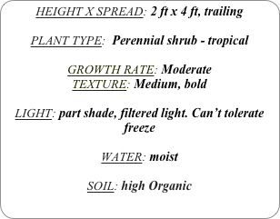 HEIGHT X SPREAD: 2 ft x 4 ft, trailing

PLANT TYPE:  Perennial shrub - tropical

GROWTH RATE: Moderate
TEXTURE: Medium, bold

LIGHT: part shade, filtered light. Can’t tolerate freeze

WATER: moist

SOIL: high Organic
