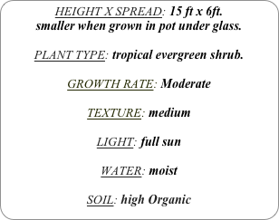 HEIGHT X SPREAD: 15 ft x 6ft.
smaller when grown in pot under glass.

PLANT TYPE: tropical evergreen shrub.

GROWTH RATE: Moderate

TEXTURE: medium

LIGHT: full sun

WATER: moist

SOIL: high Organic