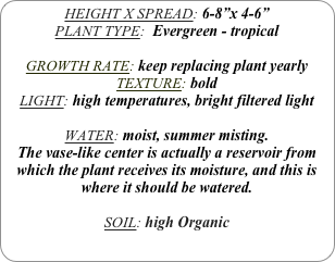 HEIGHT X SPREAD: 6-8”x 4-6”
PLANT TYPE:  Evergreen - tropical

GROWTH RATE: keep replacing plant yearly
TEXTURE: bold
LIGHT: high temperatures, bright filtered light

WATER: moist, summer misting.
The vase-like center is actually a reservoir from which the plant receives its moisture, and this is where it should be watered. 

SOIL: high Organic

