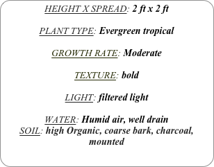 HEIGHT X SPREAD: 2 ft x 2 ft

PLANT TYPE: Evergreen tropical

GROWTH RATE: Moderate

TEXTURE: bold

LIGHT: filtered light

WATER: Humid air, well drain
SOIL: high Organic, coarse bark, charcoal, mounted
